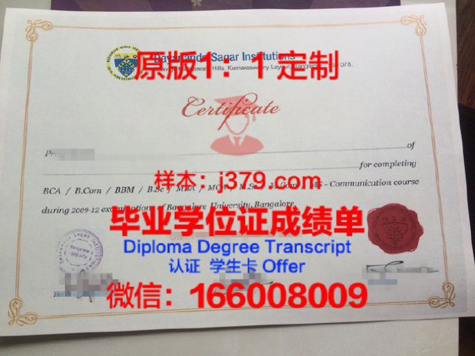 班加罗尔大学K.L.E学院毕业证diploma