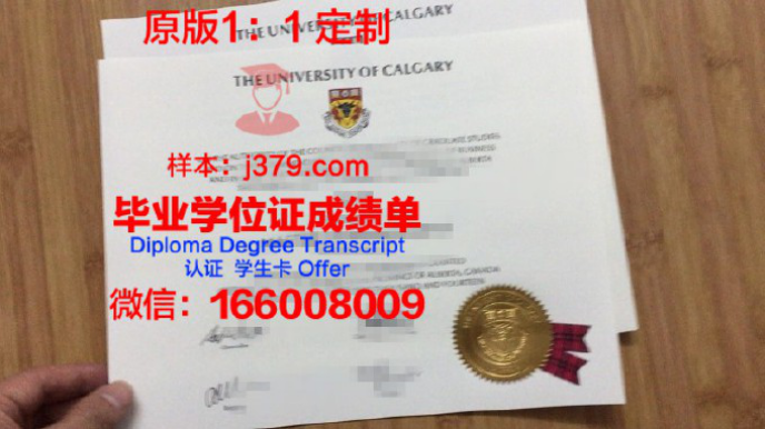 艾米丽卡尔艺术与设计大学毕业证diploma