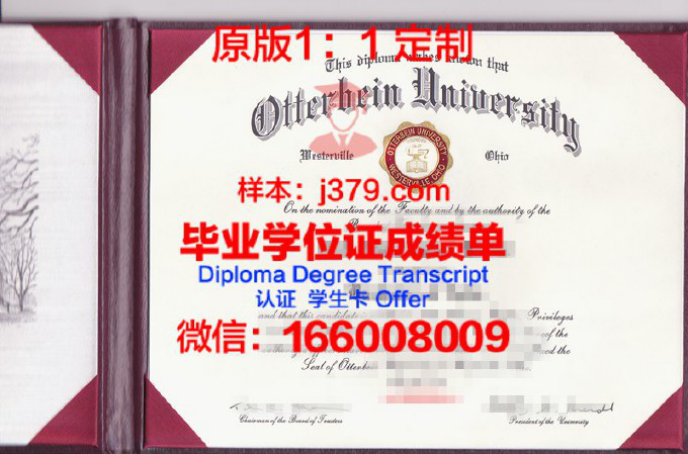 奥特拜因学院毕业证认证成绩单Diploma