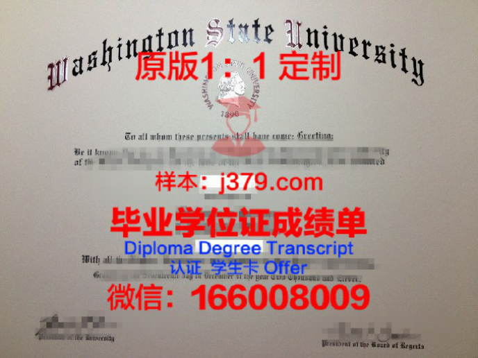 北方州立大学毕业证图片Northern State University Diploma