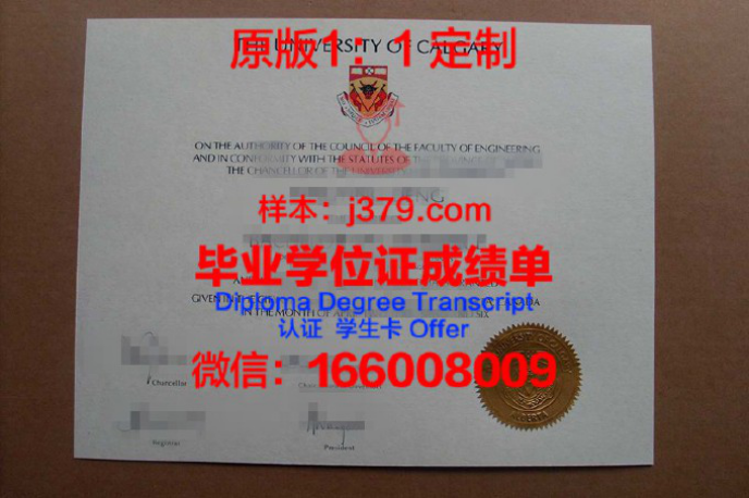 艾米丽卡尔艺术与设计大学毕业证diploma