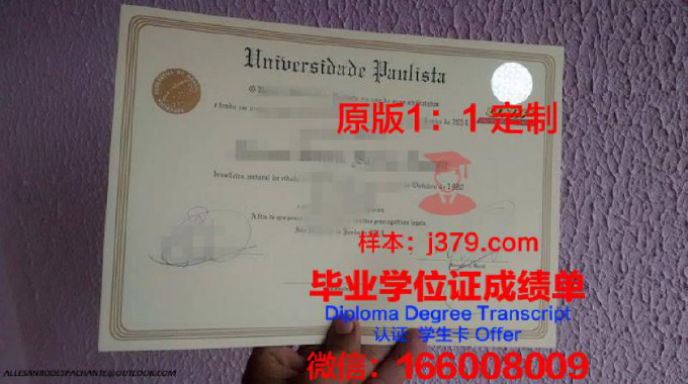 巴西坎皮纳斯大学毕业证Diploma文凭