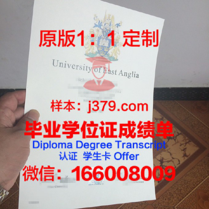 INTO-英国东英吉利大学毕业证Diploma文凭