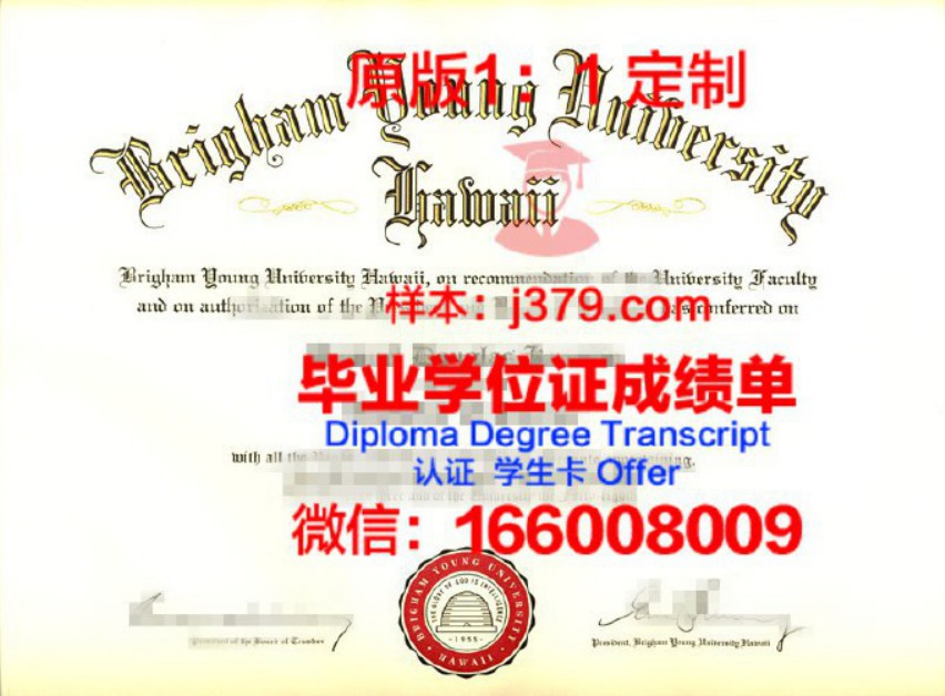 东北伊利诺伊大学毕业证书(美国伊利诺伊斯理工大学毕业证)